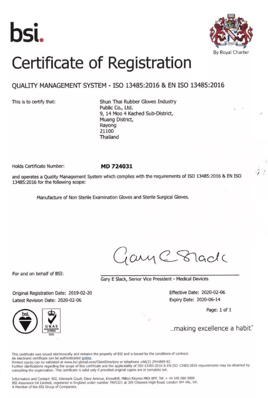 Pure Gloves Nitrile Examination Gloves Pure Gloves Nitrile Examination Gloves